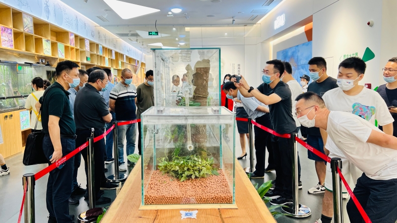22920220906市建筑设计研究院支社参观周尧昆虫博物馆 (2).jpg